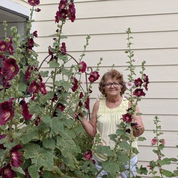 Meet your Posher, Kathleen - Picture 1 of 1